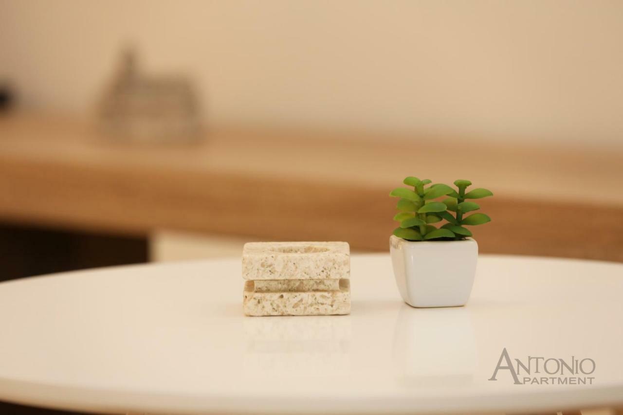 Appartement Antonio à Šibenik Extérieur photo